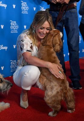 Il ritorno di Lizzie McGuire
Parole chiave: lizze