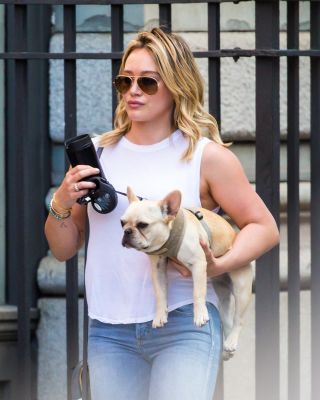 Passeggiata a New York
Parole chiave: bulldog