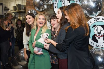 2nd Annual Love Leo Rescue's
Parole chiave: animali