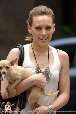 Parole chiave: with lola