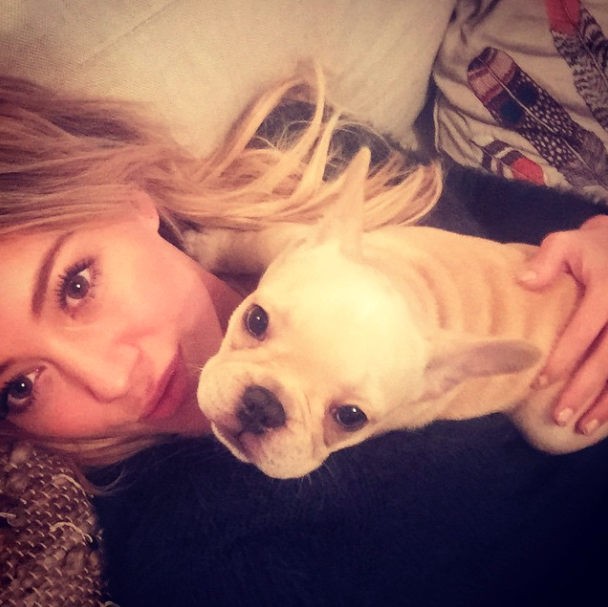 hilary_duff_beau_bulldog_francese
